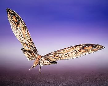 Amazon.com: TAMASHII NATIONS - Godzilla x Kong: The New Empire